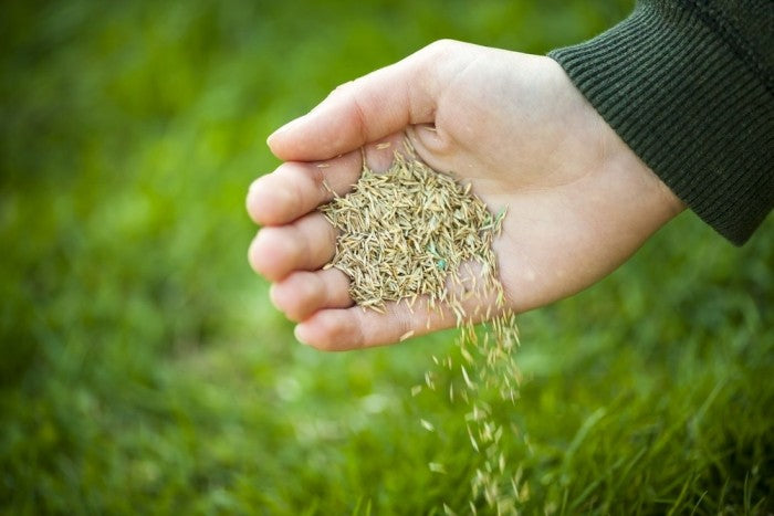 Graszaad en zaden 9%